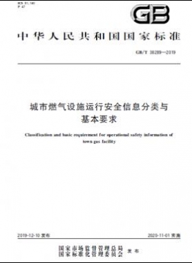 城市燃?xì)庠O(shè)施運(yùn)行安全信息分類與基本要求國標(biāo)∕T 38289-2019