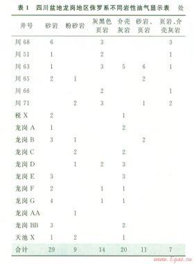 川中地區侏羅系適合頁巖油氣藏開采的地質依據