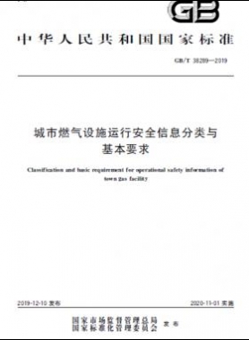 城市燃?xì)庠O(shè)施運(yùn)行安全信息分類與基本要求國標(biāo)∕T 38289-2019